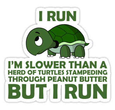 slow turtle runner