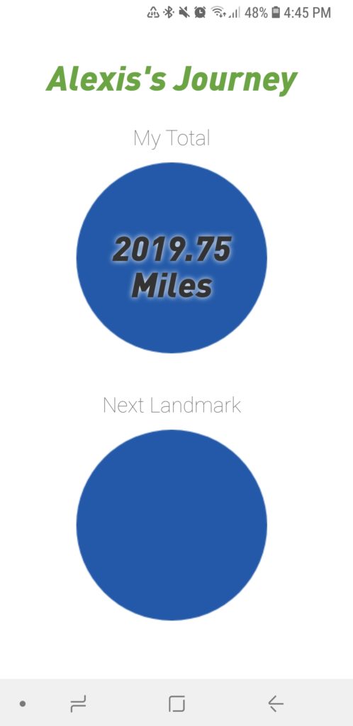 run the year tracker 2018 miles